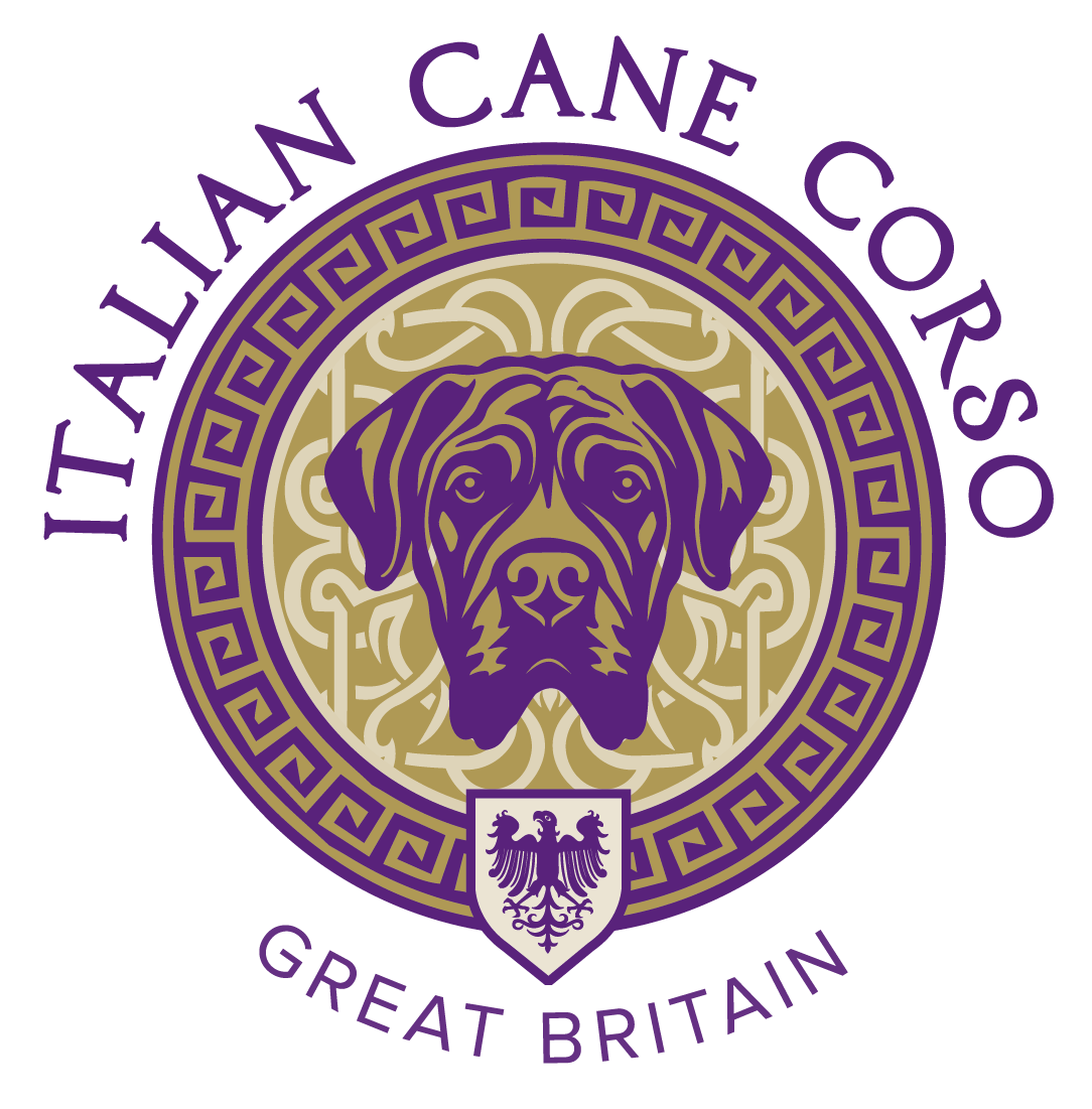 Join Our Cane Corso Club Exclusive Membership Benefits join-our-cane-corso-club-exclusive-membership-benefits